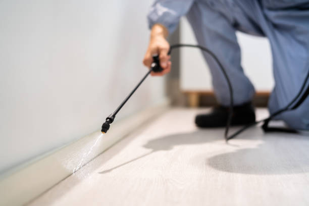 Certified termite inspector examining foundation in Suisun City